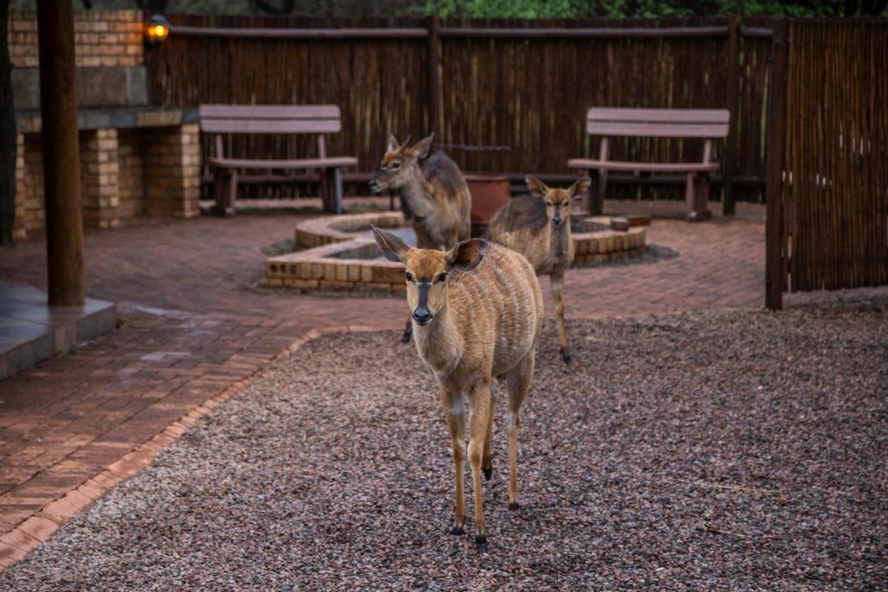 Sondela Nature Reserve & Spa Chalets Bela-Bela Zewnętrze zdjęcie